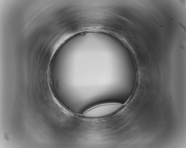 X0000102851432200808181037