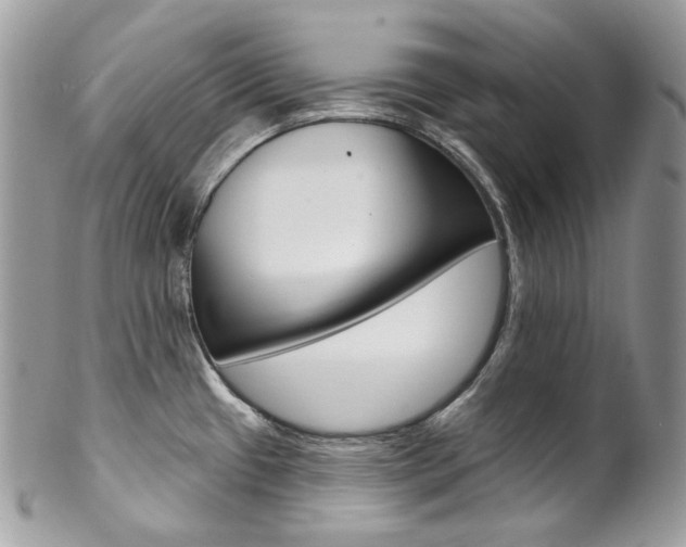 X0000102851433200808181037
