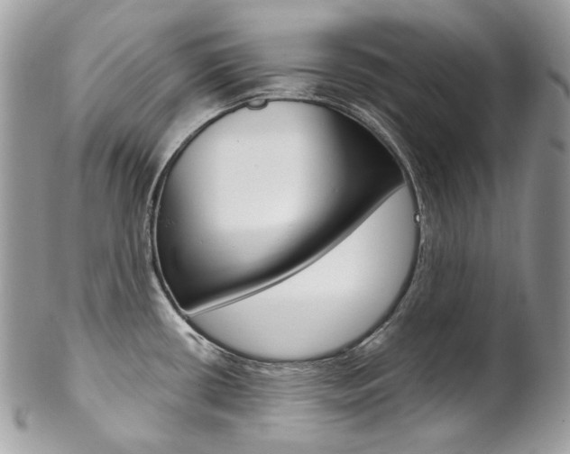 X0000102851434200808181037