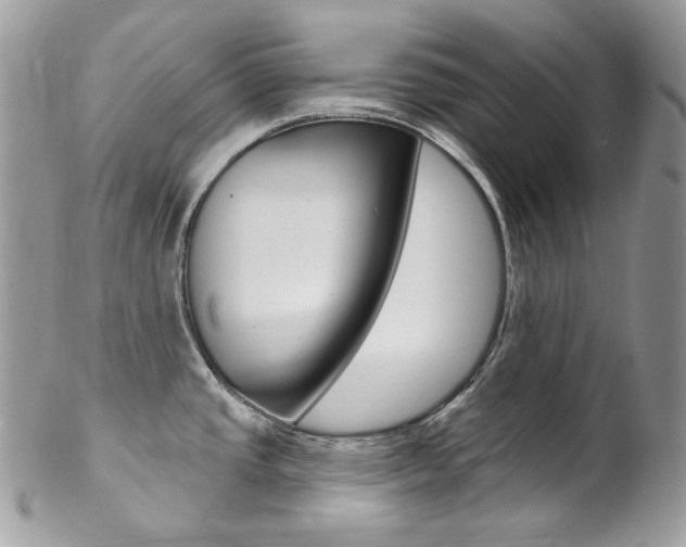 X0000102851437200808181037