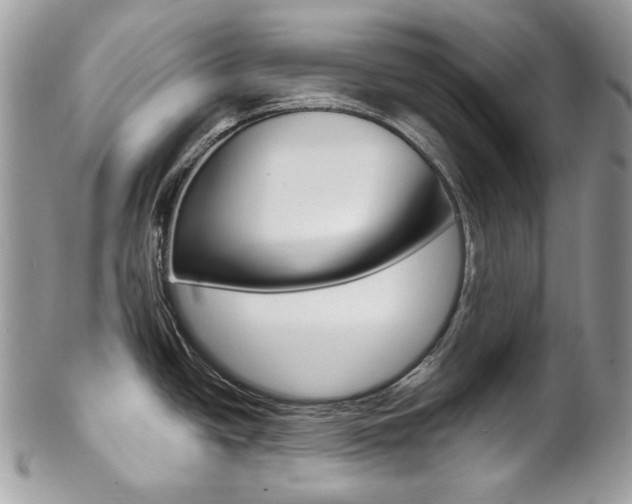 X0000102851438200808181037