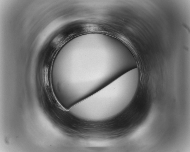 X0000102851439200808181037