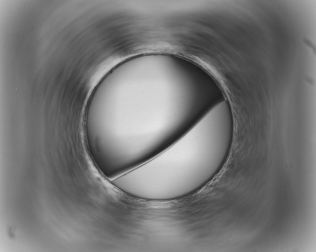 X0000102851440200808181037
