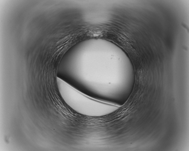 X0000102851442200808181037