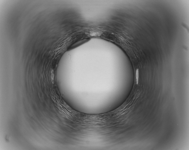 X0000102851443200808181037