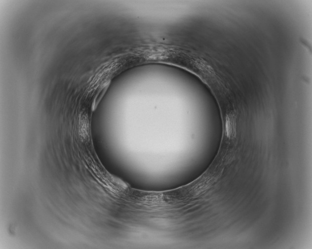 X0000102851444200808181037