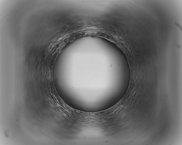 X0000102851445200808181037