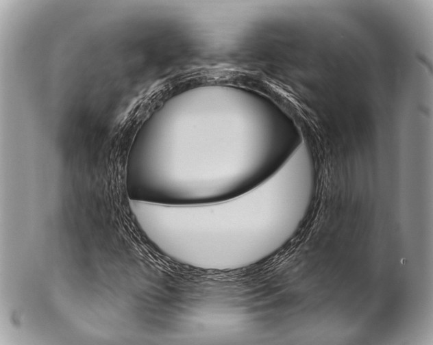 X0000102851447200808181036