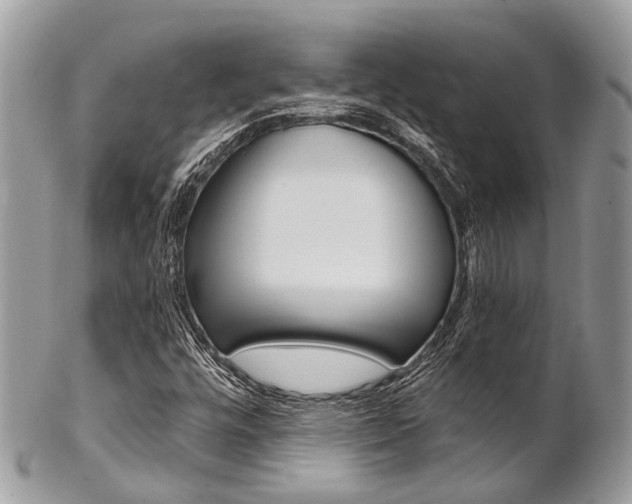 X0000102851448200808181036