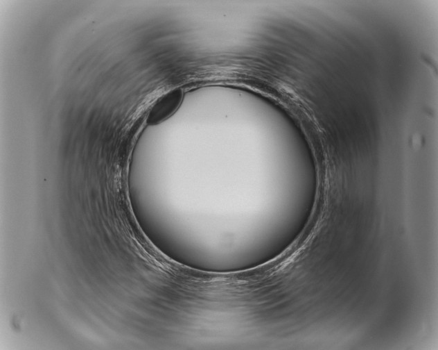 X0000102851449200808181036