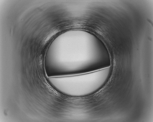X0000102851450200808181036