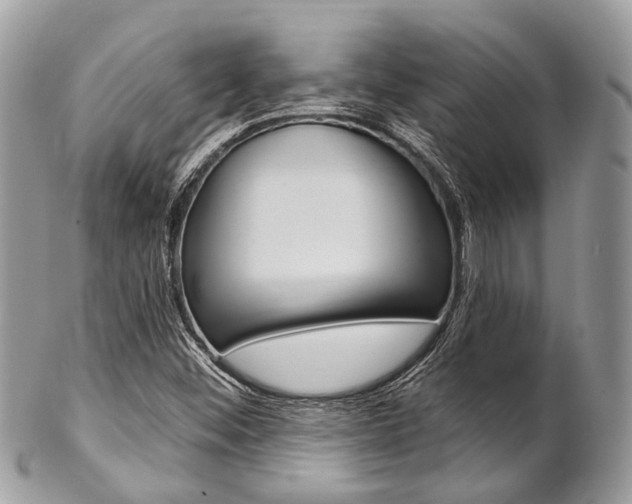 X0000102851452200808181036