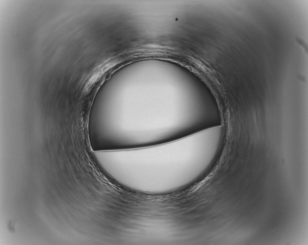 X0000102851453200808181036