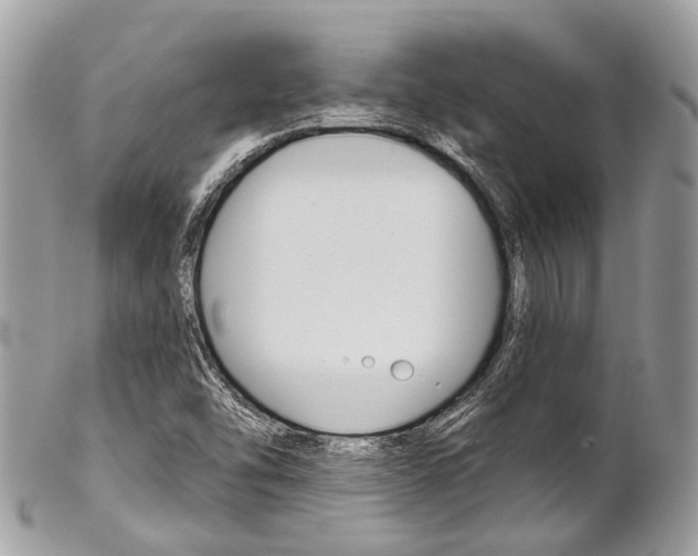 X0000102851454200808181036