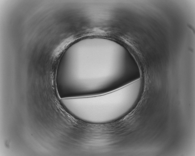 X0000102851455200808181036