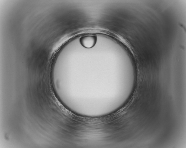X0000102851456200808181036