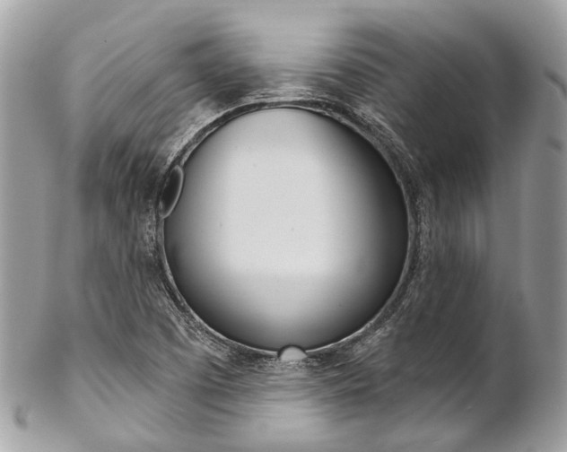 X0000102851457200808181036