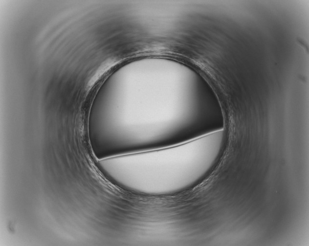 X0000102851458200808181036