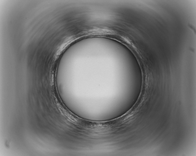 X0000102851459200808181036