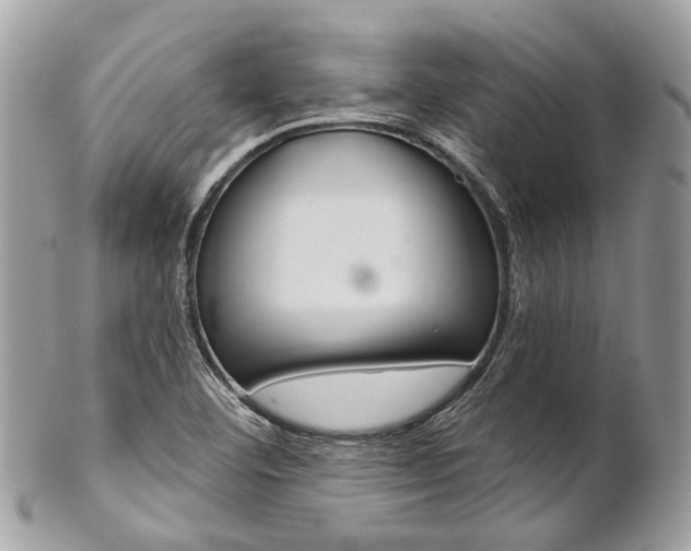 X0000102851460200808181036