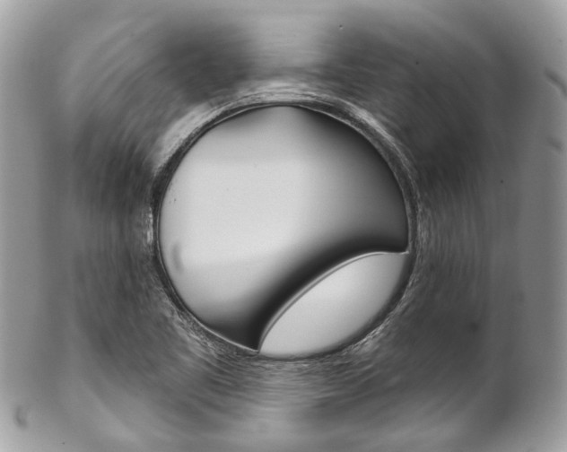 X0000102851461200808181036