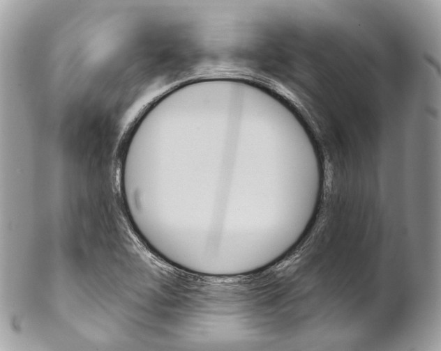 X0000102851462200808181036