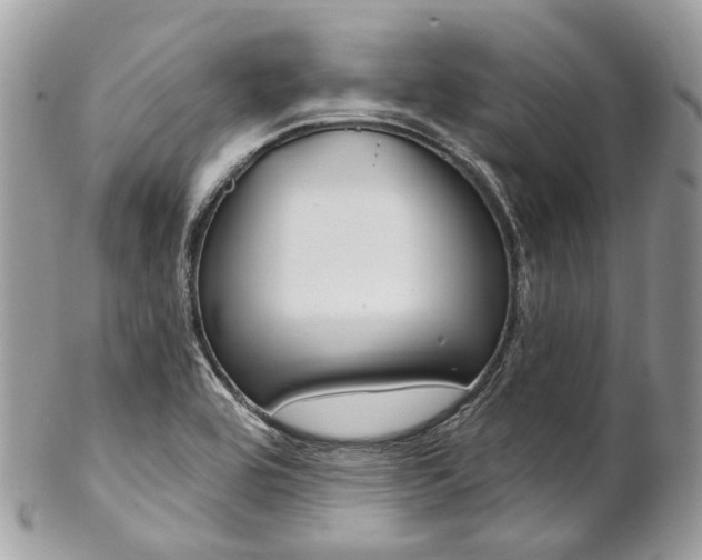 X0000102851464200808181036
