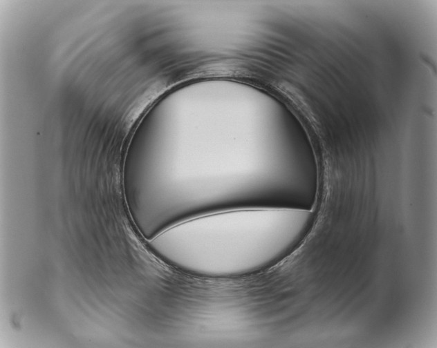 X0000102851465200808181036