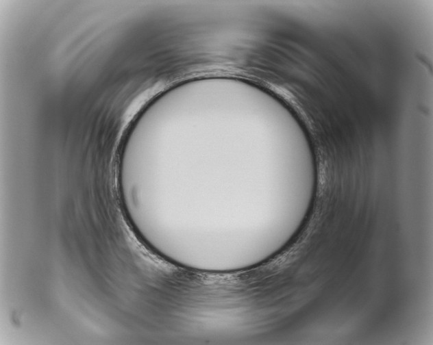 X0000102851466200808181036