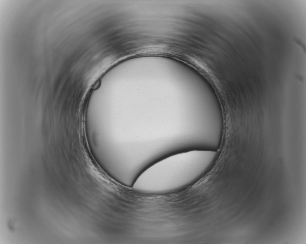 X0000102851467200808181036