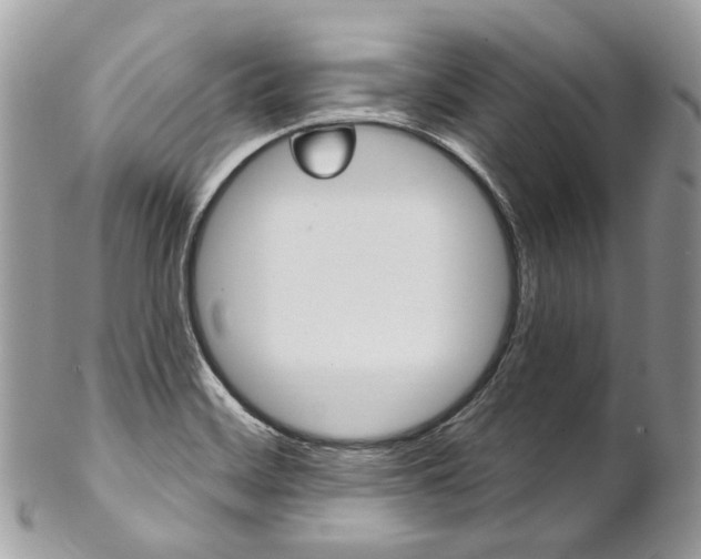 X0000102851468200808181036