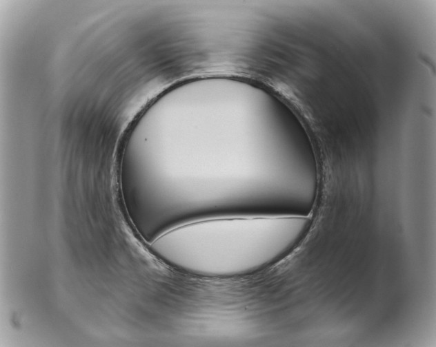 X0000102851469200808181036
