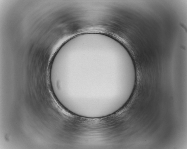 X0000102851470200808181036