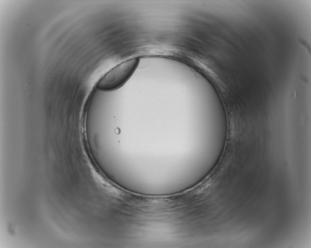 X0000102851471200808181036
