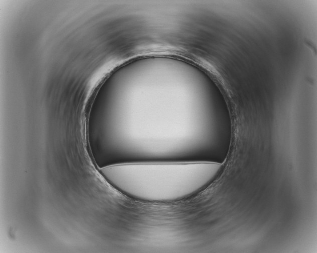 X0000102851472200808181036