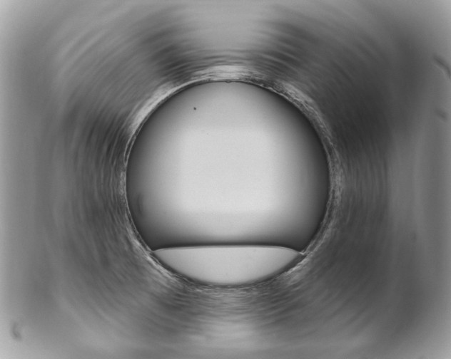 X0000102851473200808181036