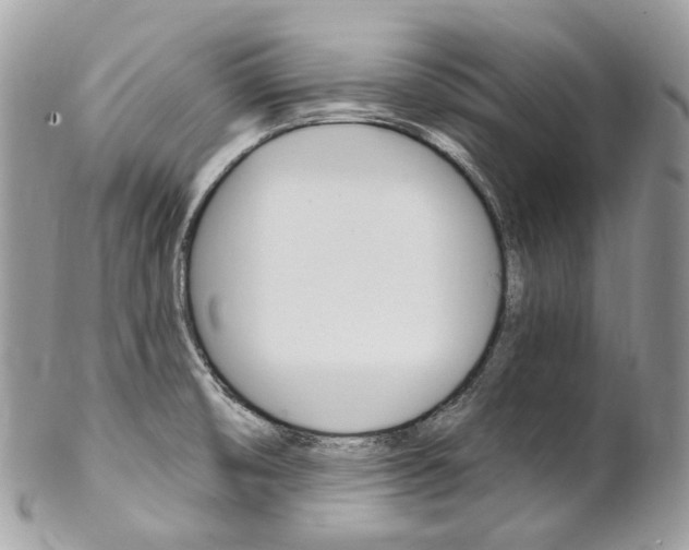 X0000102851474200808181036