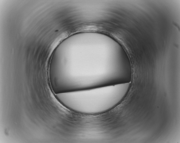 X0000102851475200808181036