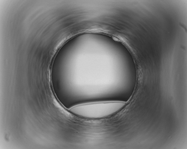 X0000102851476200808181036