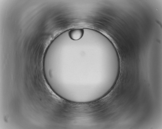X0000102851477200808181036