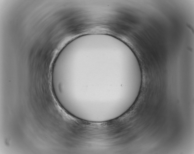 X0000102851478200808181036