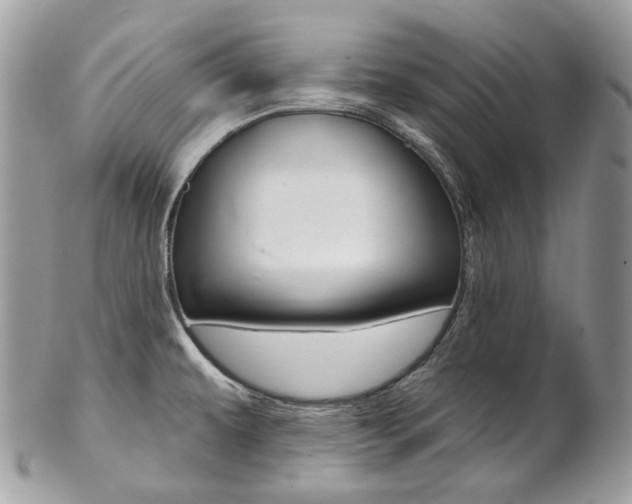 X0000102851479200808181036