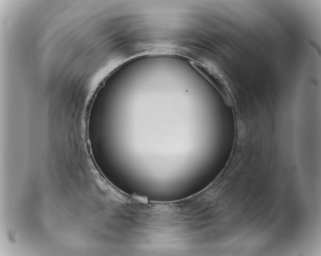 X0000102851480200808181036