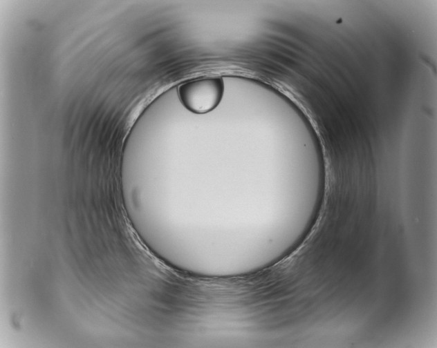 X0000102851481200808181036