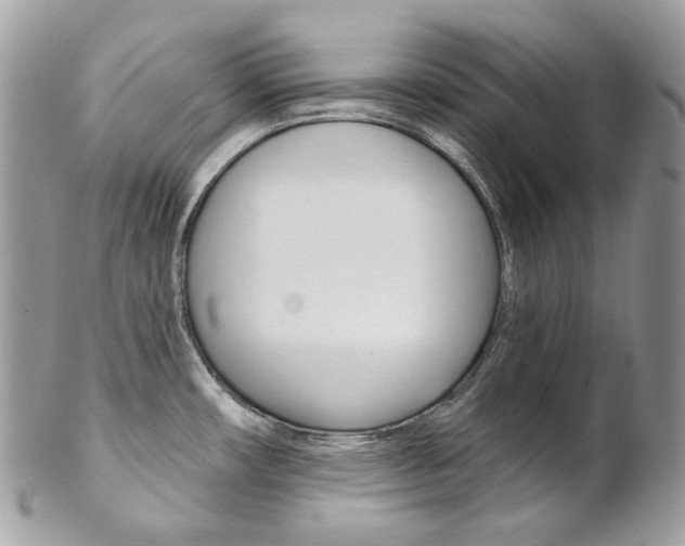 X0000102851482200808181036