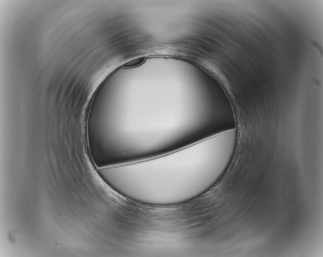 X0000102851483200808181036