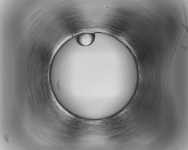 X0000102851484200808181036