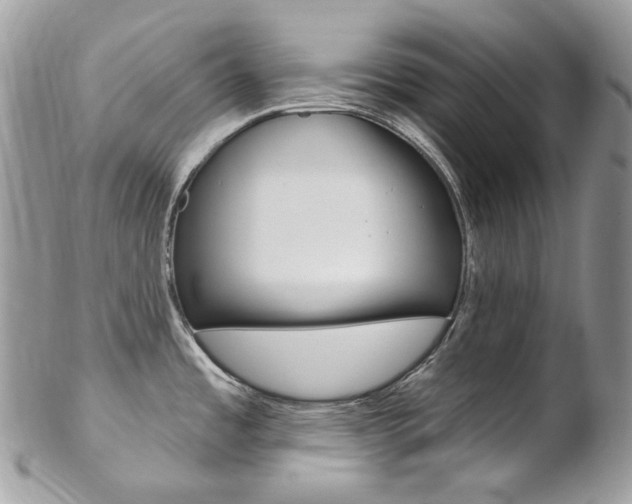 X0000102851485200808181036