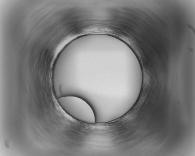 X0000102851486200808181036