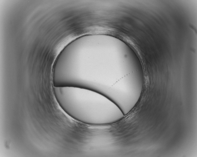 X0000102851487200808181036